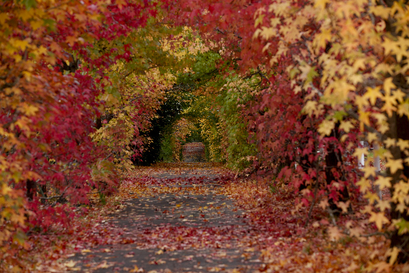 Life path number 8 and 11 compatibility picture 1