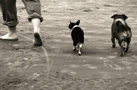 walking walking
